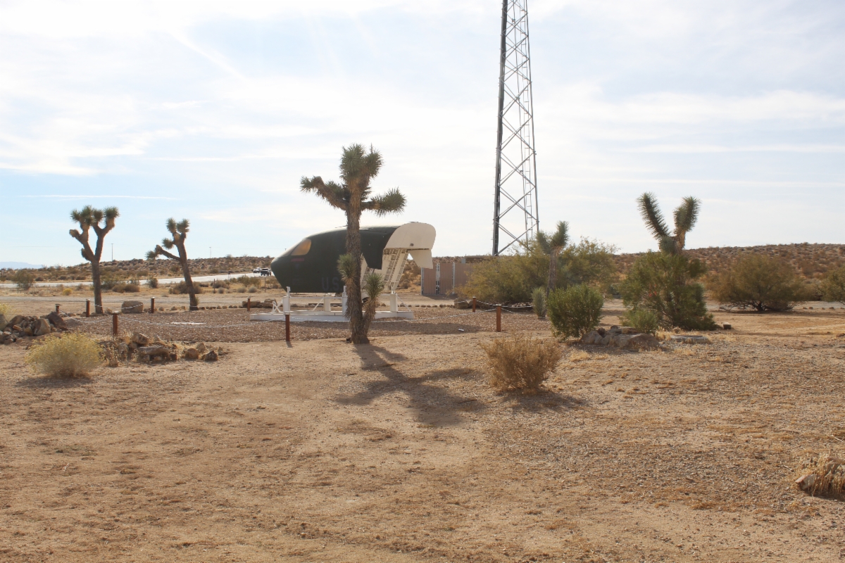 Yucca jaegeriana